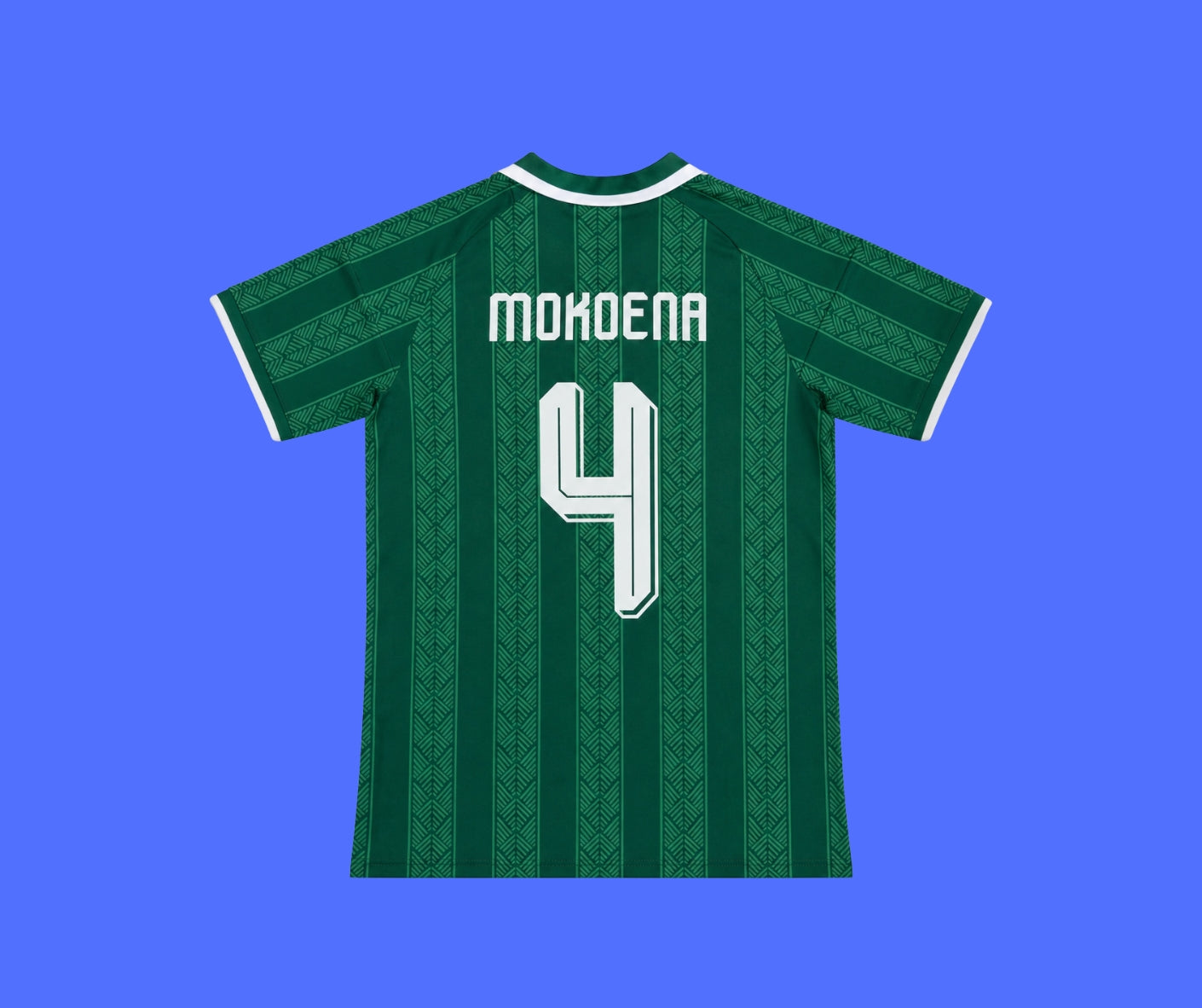 Sudafrica Visita Mundial - 2026