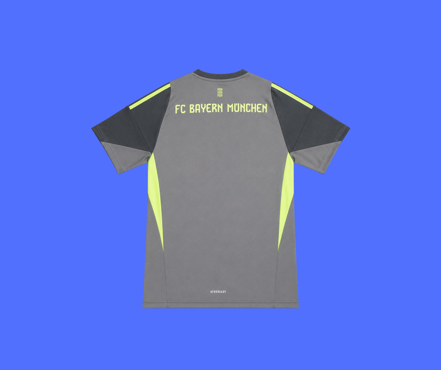 Bayern Munich Portero - 25/26